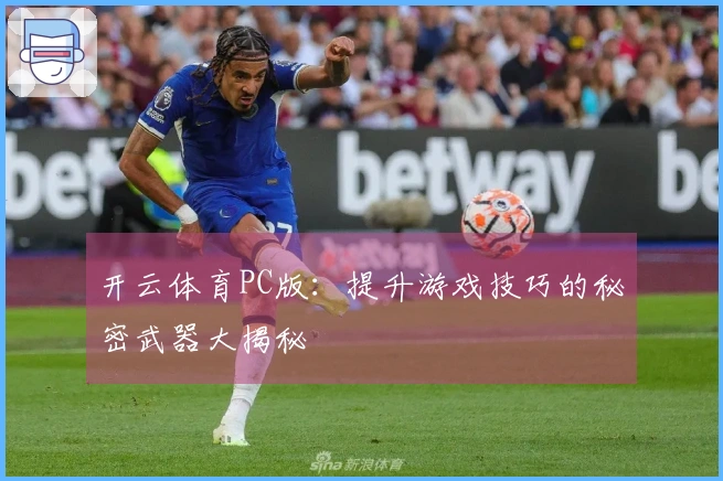 开云体育PC版：提升游戏技巧的秘密武器大揭秘