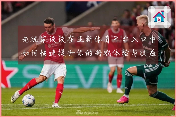 老玩家谈谈在亚新体育平台入口中如何快速提升你的游戏体验与收益技巧